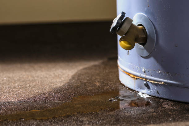 Reliable Edgewater, MD Water damage restoration Solutions