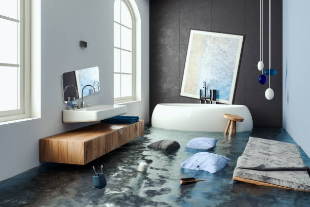 Best Water damage restoration near me  in Edgewater, MD