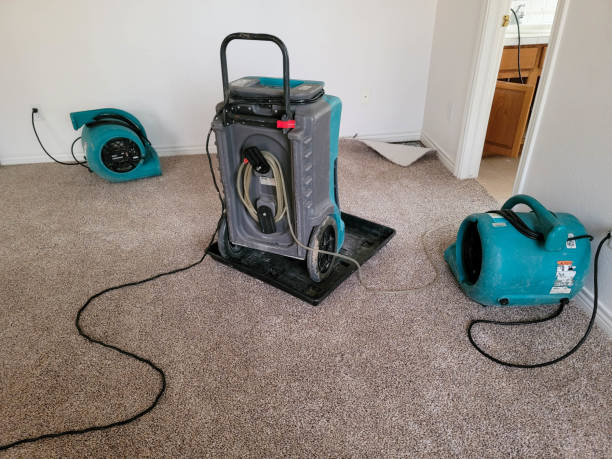 Best Basement water damage restoration  in Edgewater, MD