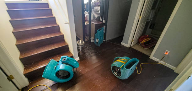 Best Flooded house restoration  in Edgewater, MD