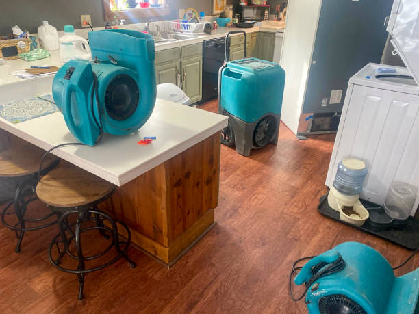 Best Local water damage restoration  in Edgewater, MD
