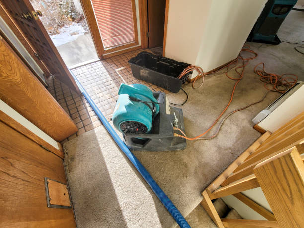  Edgewater, MD Water damage restoration Pros