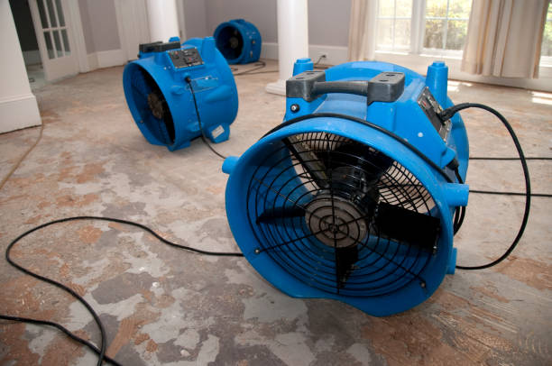 Best Basement water damage restoration  in Edgewater, MD