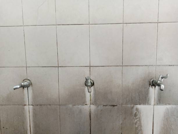 Best Local water damage restoration  in Edgewater, MD