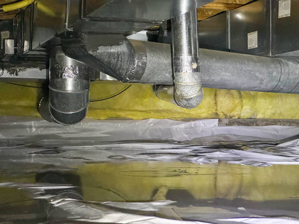 Best Fire Damage Restoration  in Edgewater, MD