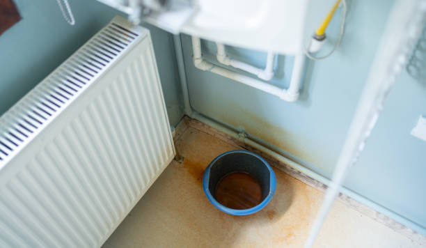 Best Water damage restoration near me  in Edgewater, MD