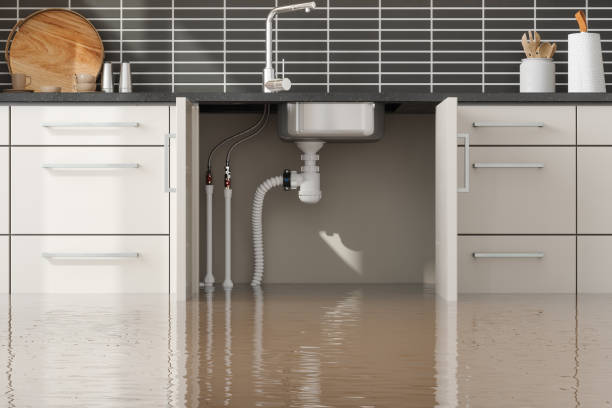 Best Water damage restoration near me  in Edgewater, MD