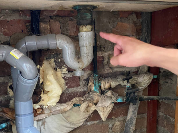 Best Water damage restoration process  in Edgewater, MD