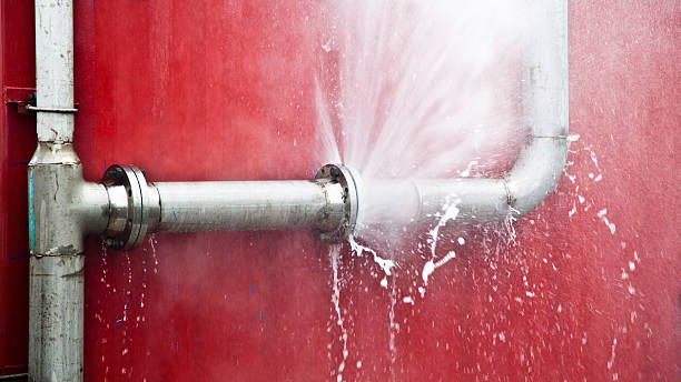 Best Water damage restoration process  in Edgewater, MD
