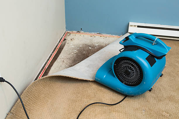 Best 24/7 water damage repair  in Edgewater, MD